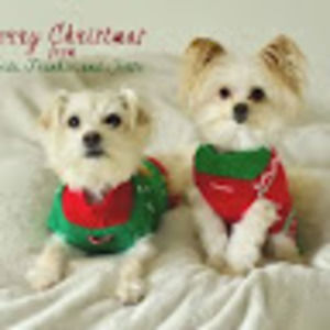 Meet your Posher, Heidi